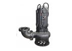 Heng Long - Model AS Series - Apparatus Use Sewage Submersible Pump(4P)