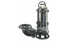 Heng Long - Model BSF Series - High Efficiency Apparatus Use Sewage Submersible Pump(2P)