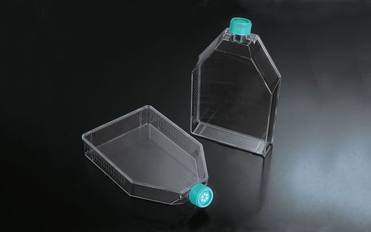 Cell and Tissue Culture Flask