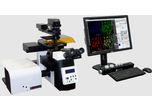 Confocal Fluorescence Laser Scanning Microscopy