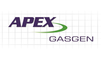 Apex Gasgen Limited