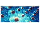 N-Biotek - Embryonic Stem Cells