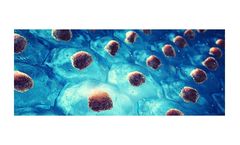 N-Biotek - Embryonic Stem Cells