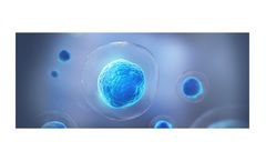 N-Biotek - Adult Stem Cells