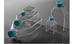 Model EDGE - Cell Culture Flasks
