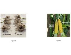 SureForce VS. Springs in No-Till and Conventional Till
