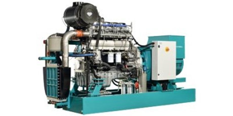Dual Fuel CHP Unit Up To 170 kW