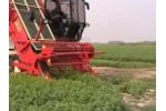 Harvest Loader FR 100 for harvest basil - DE PIETRI - Video