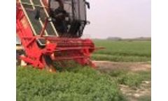 Harvest Loader FR 100 for harvest basil - DE PIETRI - Video
