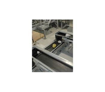 Kellve - Process Conveyors