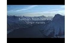 Salmon from Norway - Origin Matters Video