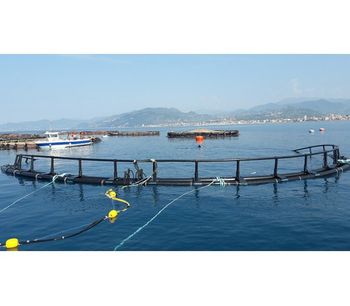 Badinotti - Submersible Fish Cage