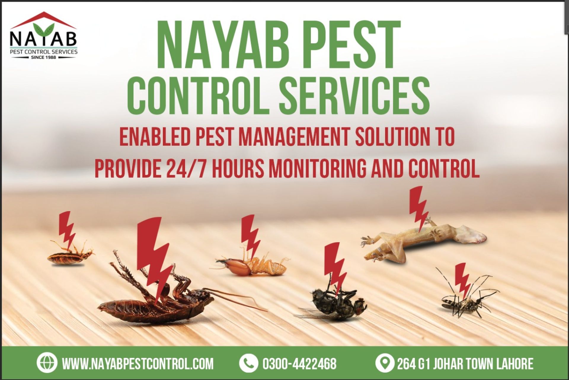 Nayab Pest Control Services