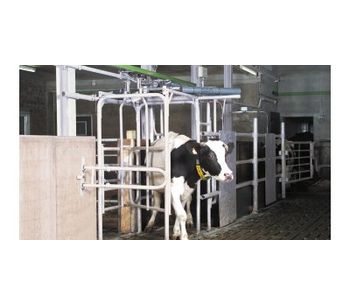 Automatic Dairy Cow Sorting System