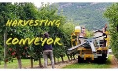 Harvesting Conveyor N.Blosi At Work - Video