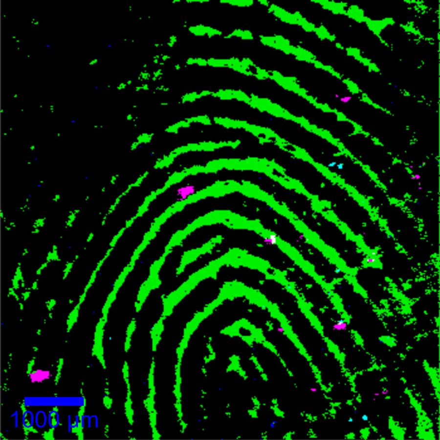 Confocal large-area Raman image of a human fingerprint. Magenta: Sulfur; Dark Blue: Amorphous Carbon; Light Blue: Nitrate.