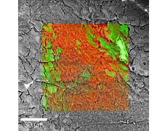 Witec RISE Raman SEM Correlative Raman Imaging And Scanning Electron ...