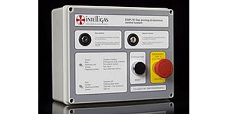 Intelligas - Model EGIP-1E  - Gas Proving & Electrical Isolatiotion System