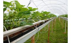 Remote monitoring, IIoT & cloud-based solutions for smart agriculture sector