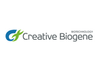 creative biogene - LncRNA qPCR