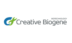 creative biogene - mscv