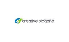 Creative Biogene - Model CB-0020 - Mini Centrifuge