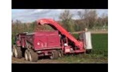 Dewulf P3K - 1-row 3-point linked carrot harvester with elevator Video