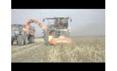 Dewulf RA4060 - 2-row self-propelled potato harvester with elevator Video