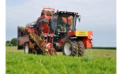 Dewulf - Model ZBII - 2-row top lifting harvester with bunker