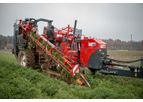 Dewulf - Model GCCI - 1-row top lifting harvester with continuous container transport system