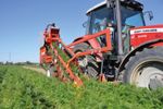 Dewulf - Model P3 - 1-row mounted top lifting harvester
