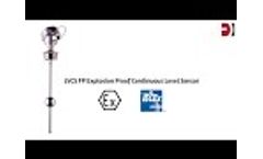 Deeter Electronics LVCS FP Explosion Proof Continuous Level Sensor Video