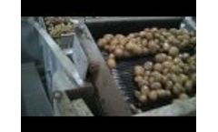 Cleaning, Grading and Logistics of Patatoes-Video