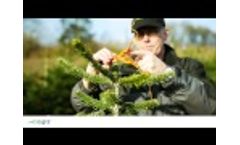 HD2412 - forest equipment and everything for Christmas trees - part of Hede Denmark Video