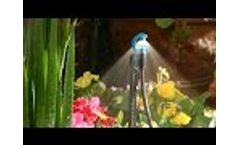 Antelco CFd Downspray Micro Irrigation Spray Jets Video