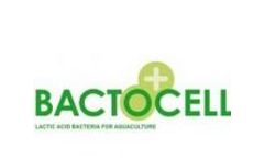 Bactocell - Probiotic Lactic Acid Bacteria for Monogastrics