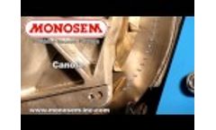 Canola Seed in the Monosem Precision Meter - Video