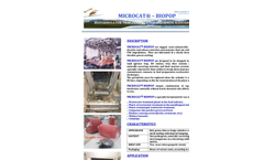 MICROCAT - Microorganisms Brochure