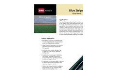 Blue Stripe - Oval Hose Polyethylene Tubing Brochure