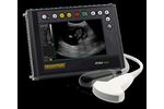 DRAMINSKI - Model 4VET MINI - Ultrasound Ideal