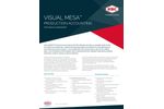 Visual Mesa Production Accounting - Brochure