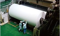Water treatment chemicals solutions for pulp and paper industry