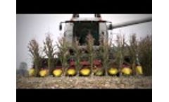 Ziegler Harvesting Corn Champion 2015 Video