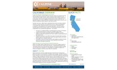 Calpine Corporation - Brochure