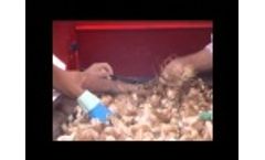 JJBroch - Garlic Powered Roller Conveyor. Video