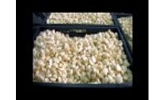 JJBroch - Garlic Peeler. Video