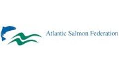 Live Release of Wild Atlantic Salmon Video