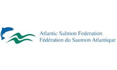 Wild Atlantic salmon returns in North America near historic low in 2019