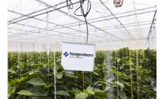 Hoogendoorn - Sensors Measure Both Inside and Outside Conditions