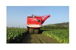 Vervaet Beet Eater - Model 625 - Sugar Beet Harvester